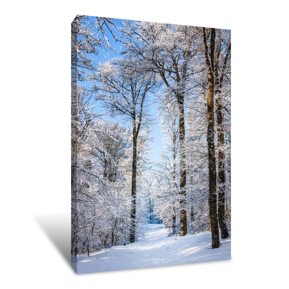 White Ride Canvas Wrap