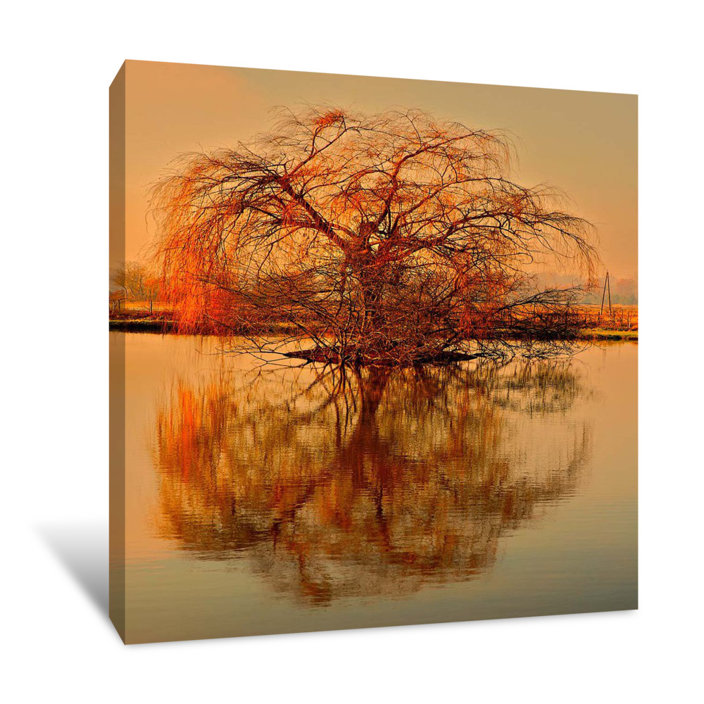 Golden Tree Canvas Wrap