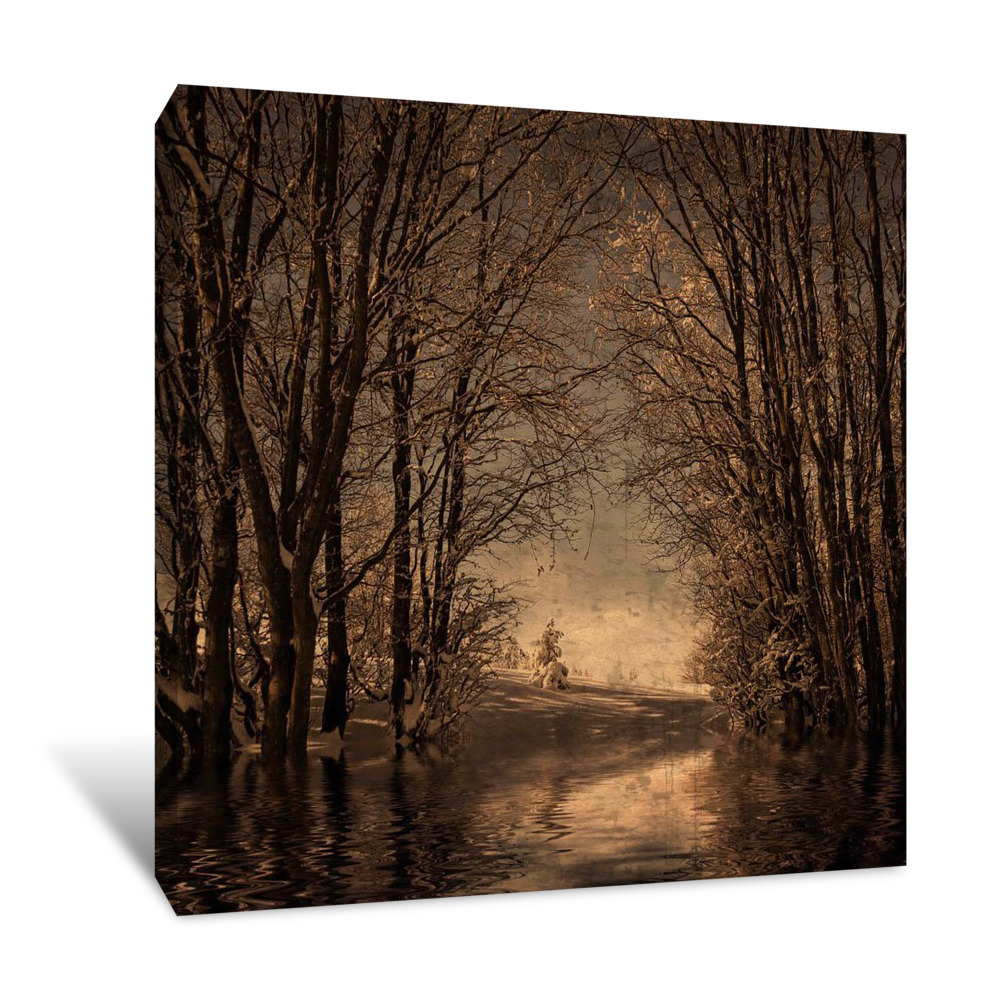 Winter Memory 2 Canvas Wrap