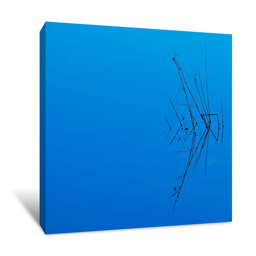 Less is More Canvas Wrap