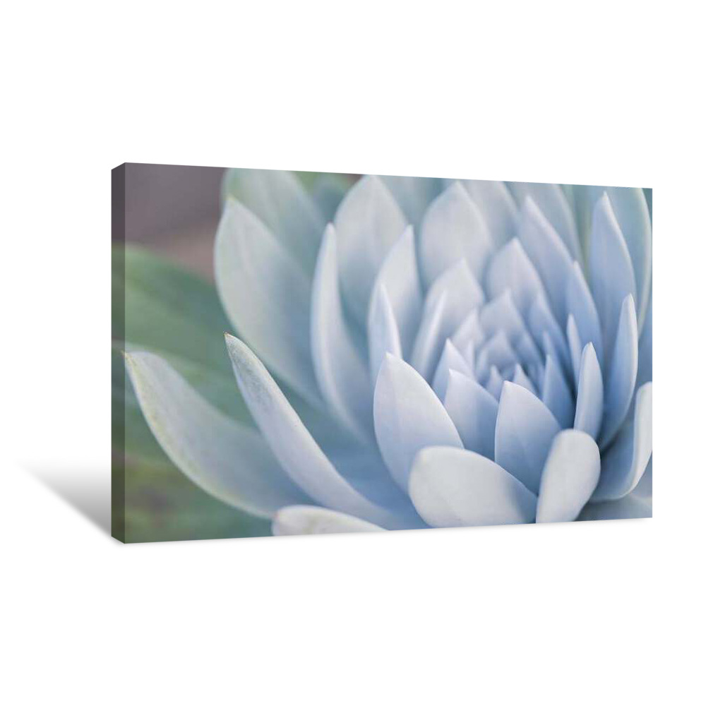 Glimmer Flower Canvas Wrap