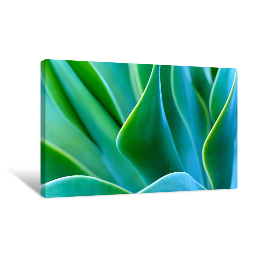 Frosted Emerald Canvas Wrap
