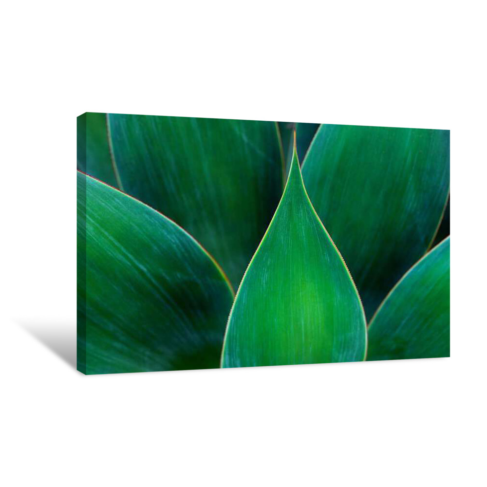Green Energy Canvas Wrap
