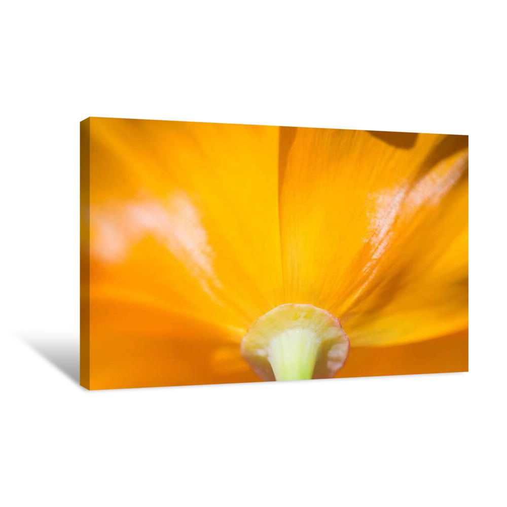 Summer Bliss Canvas Wrap