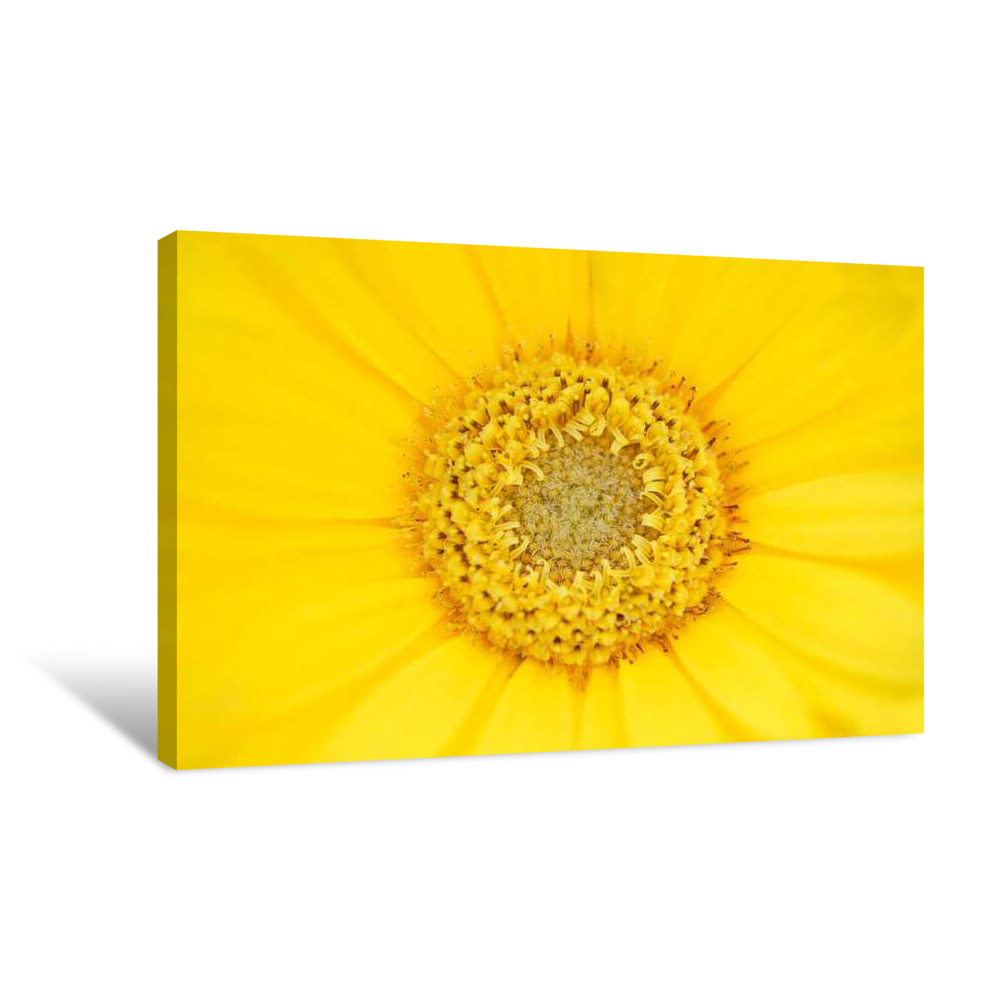 Golden Orchards Canvas Wrap