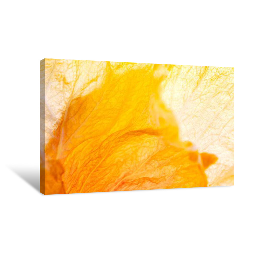 Golden Light Canvas Wrap