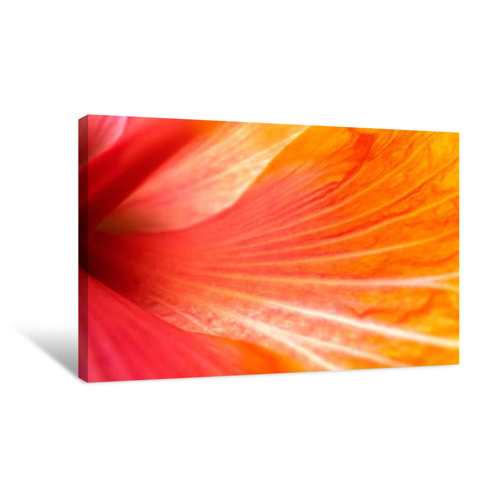 Radial Burst Canvas Wrap