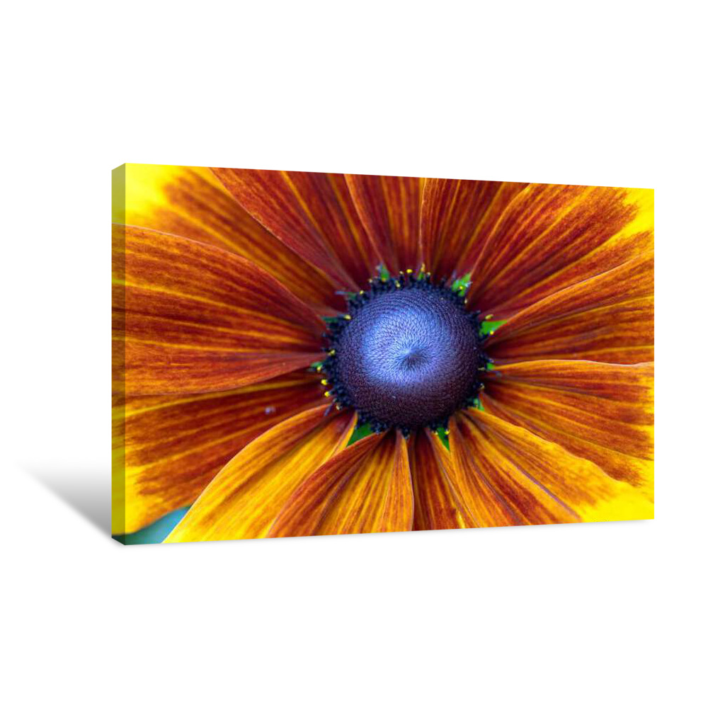 Torchlight Bloom Canvas Wrap