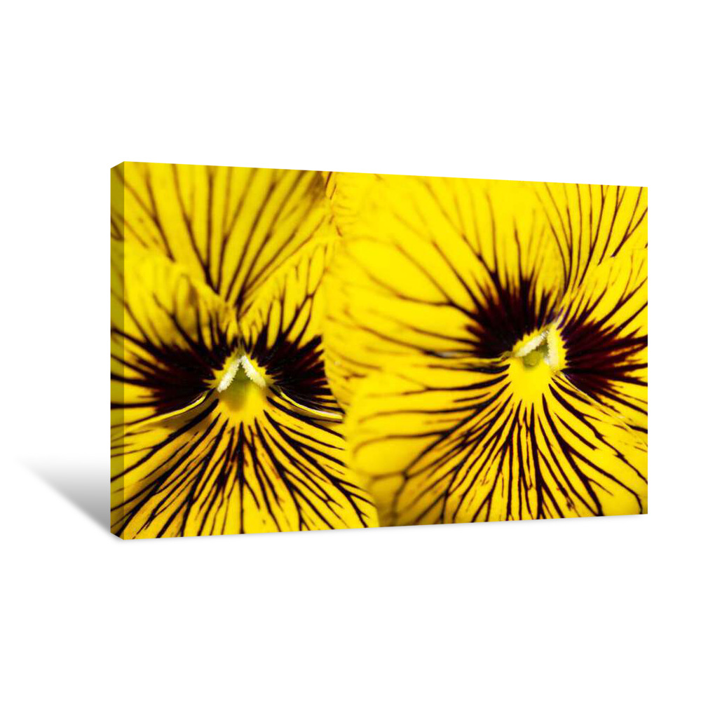 Ceremonial Canvas Wrap