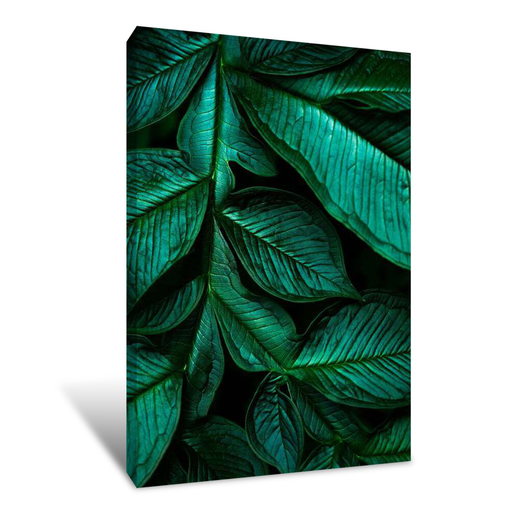 Amazon Flora Canvas Wrap