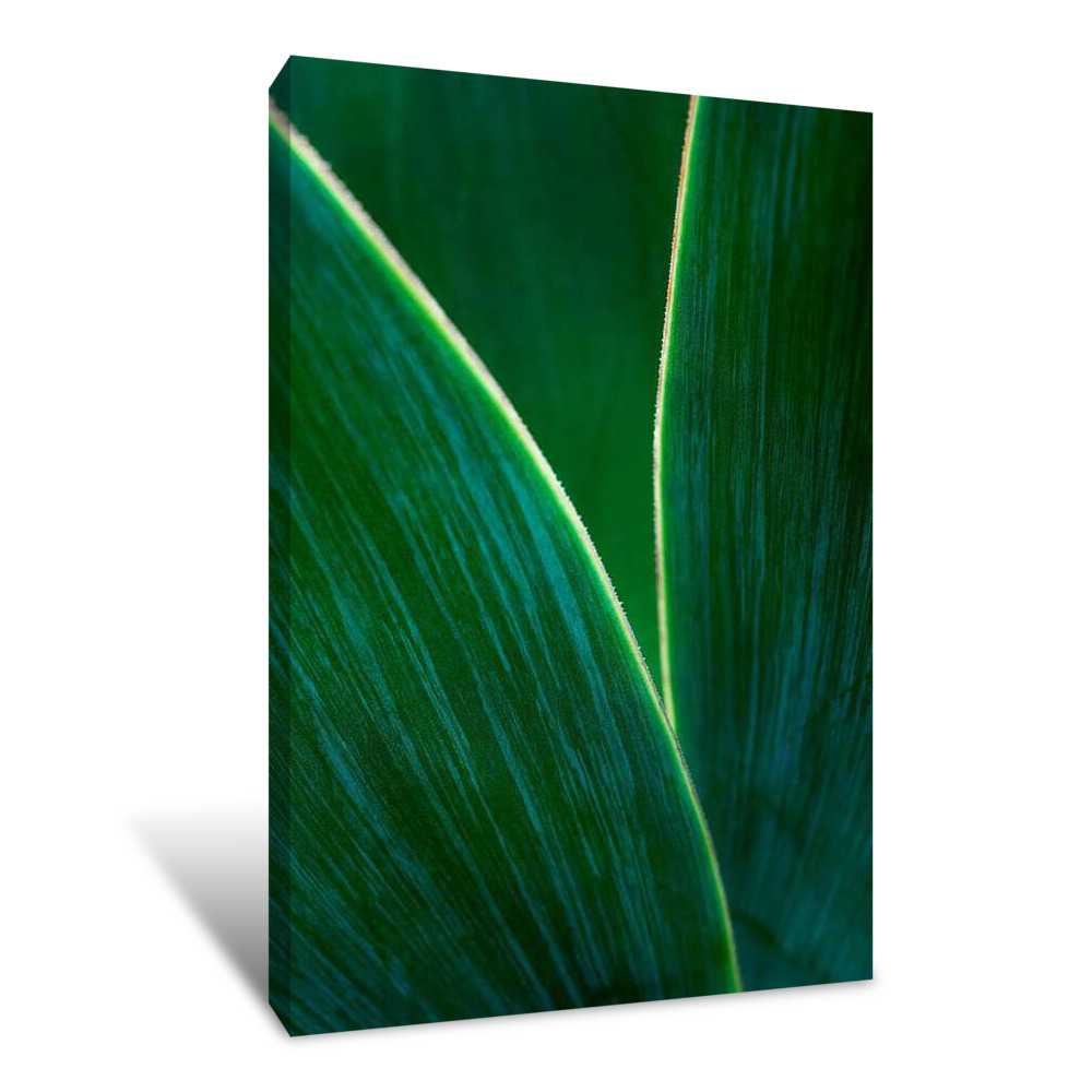 Glimpse Of Emerald Canvas Wrap