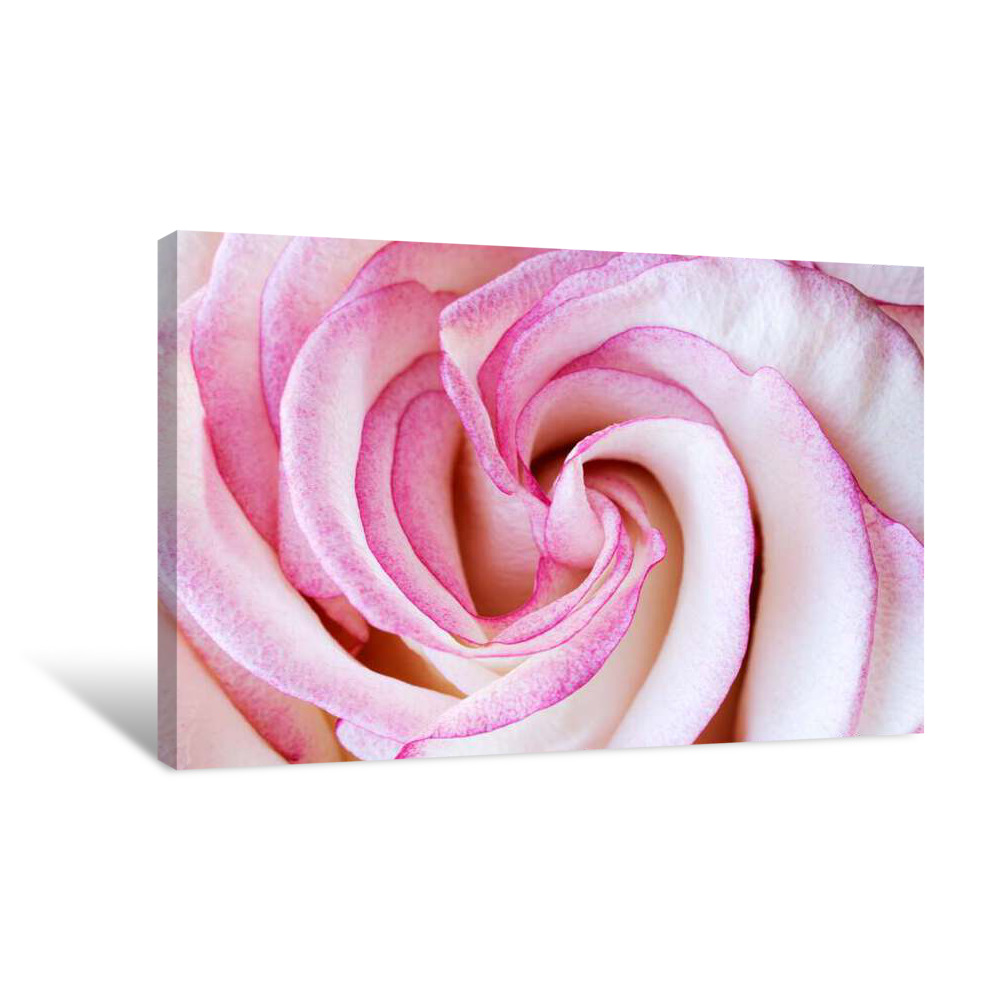 Swirl Canvas Wrap