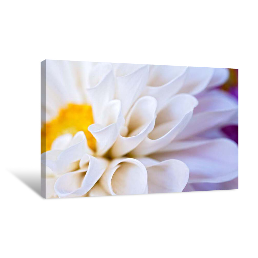 Metallic White Canvas Wrap