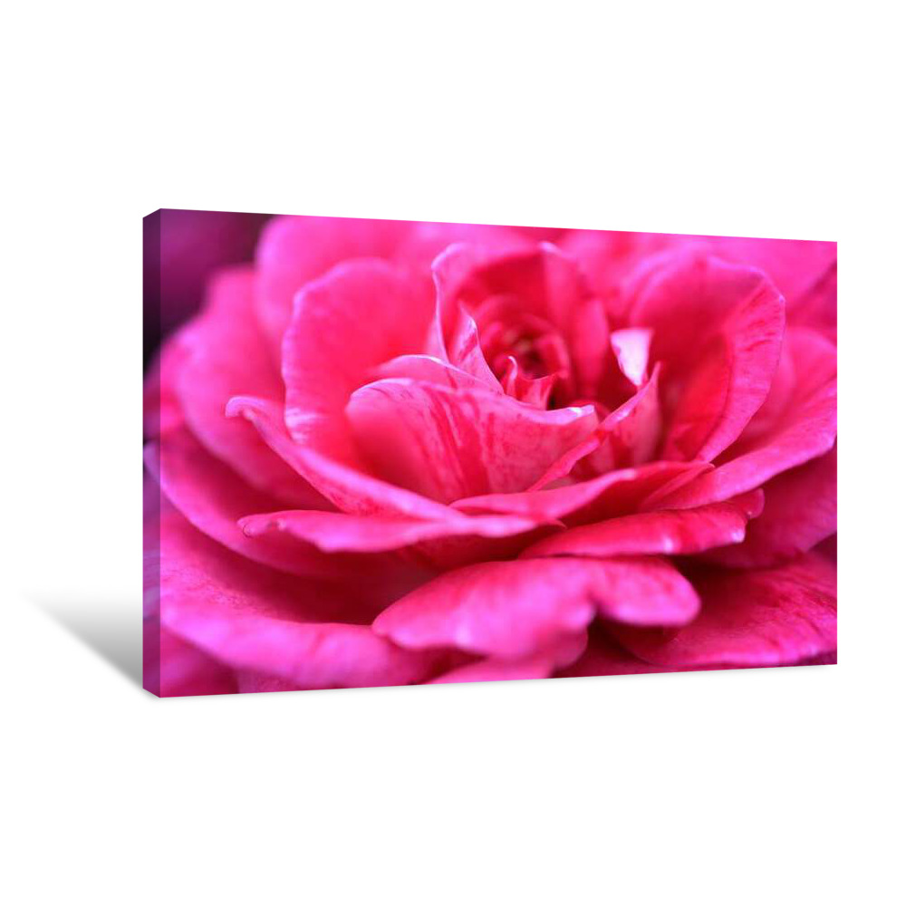 Miraculous Canvas Wrap