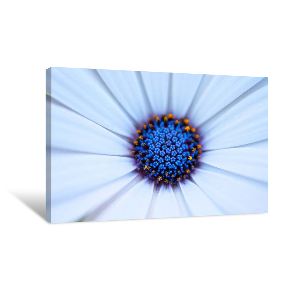 Blue Burst Canvas Wrap