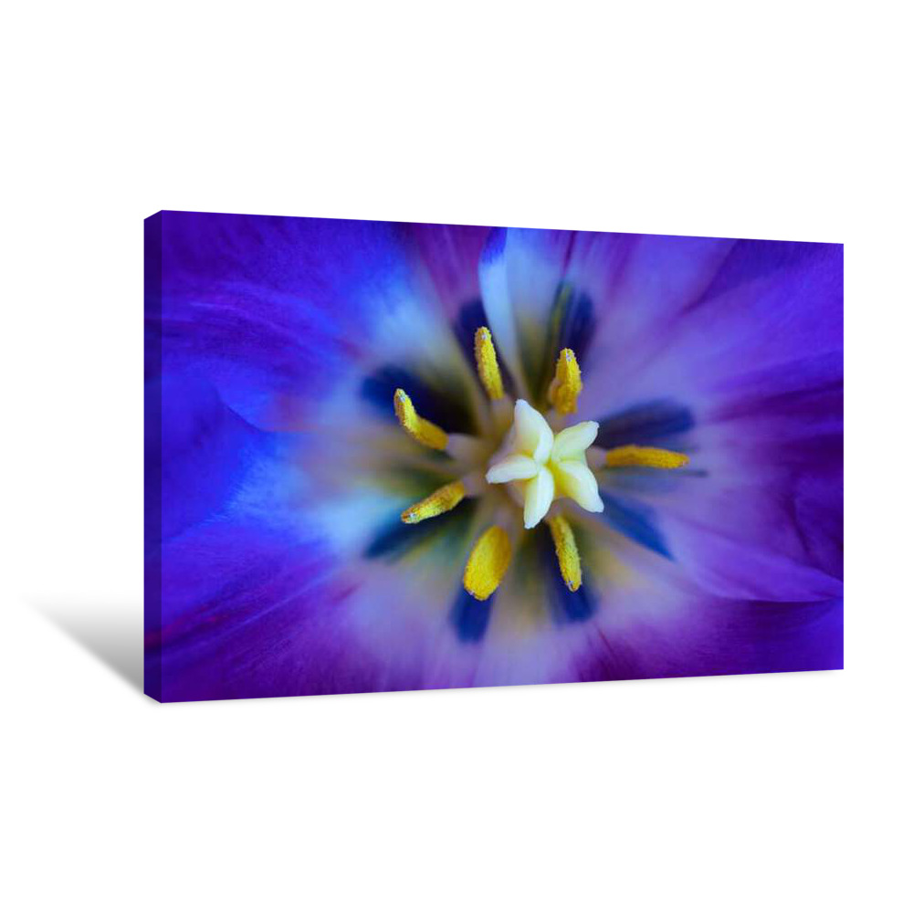 Blue Galaxy Canvas Wrap