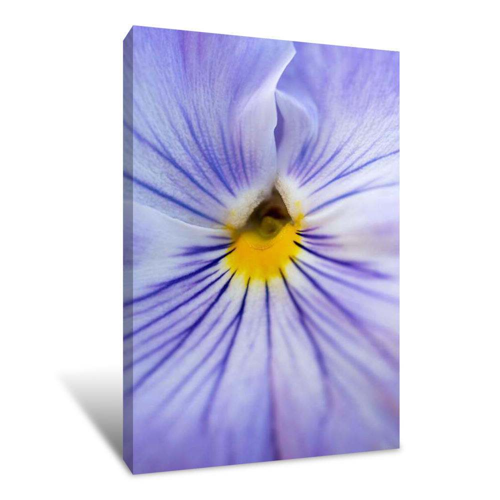 Blue Stripes Canvas Wrap