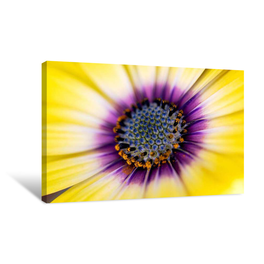 Yellow Expansive Canvas Wrap