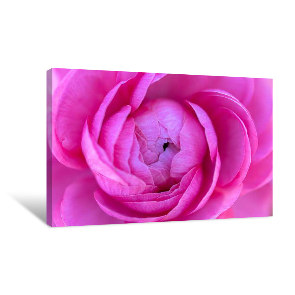 Pink Twist Canvas Wrap