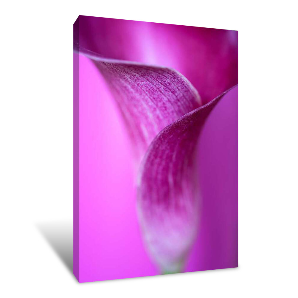Purple Flower Canvas Wrap