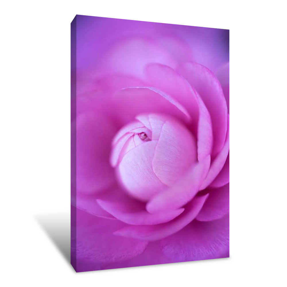 Petal Twirl Canvas Wrap