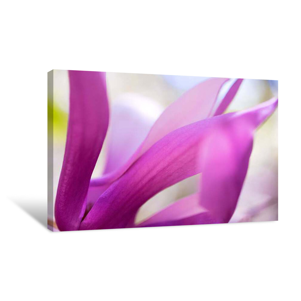 Towering Petals Canvas Wrap