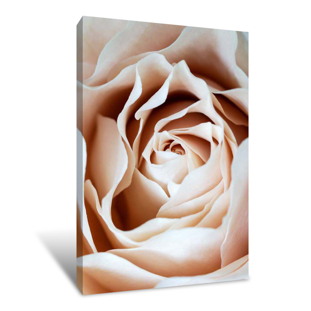 Glossy Pearl Canvas Wrap