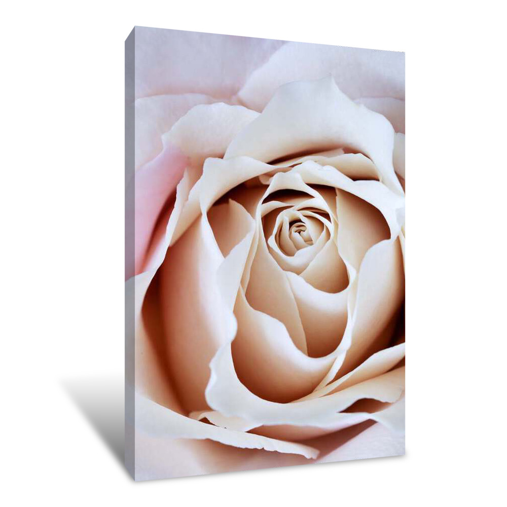 Pearl Rose Canvas Wrap