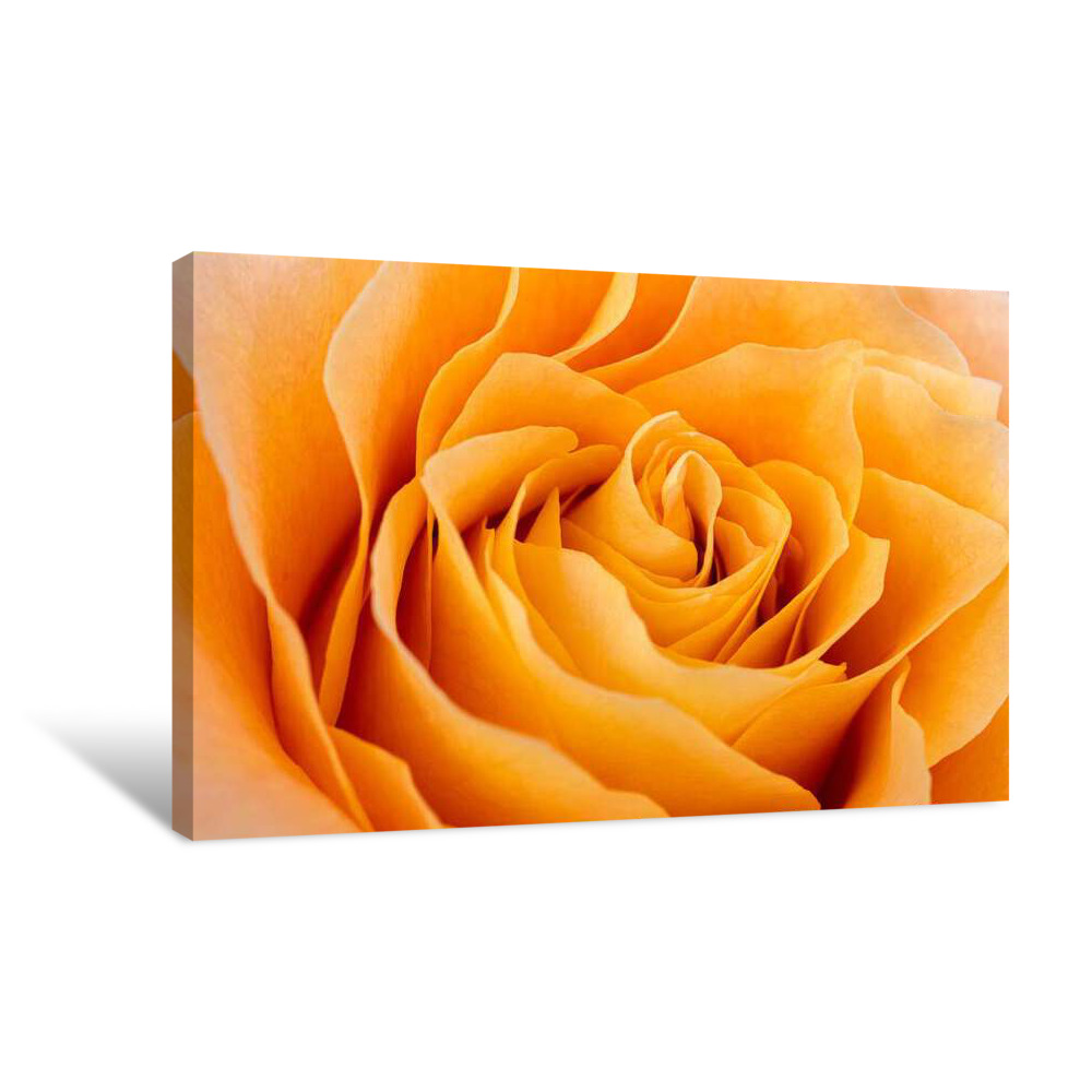 Yellow Swirl Canvas Wrap