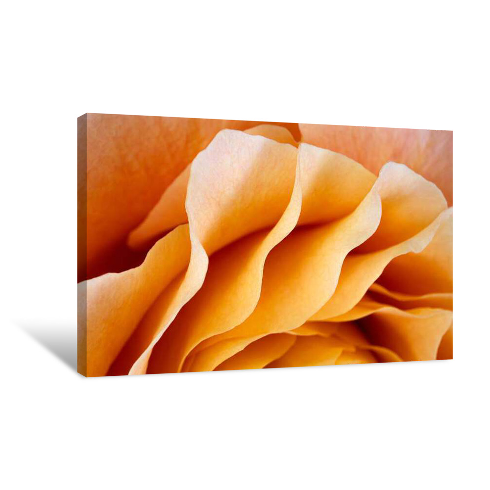 Golden Glow Canvas Wrap