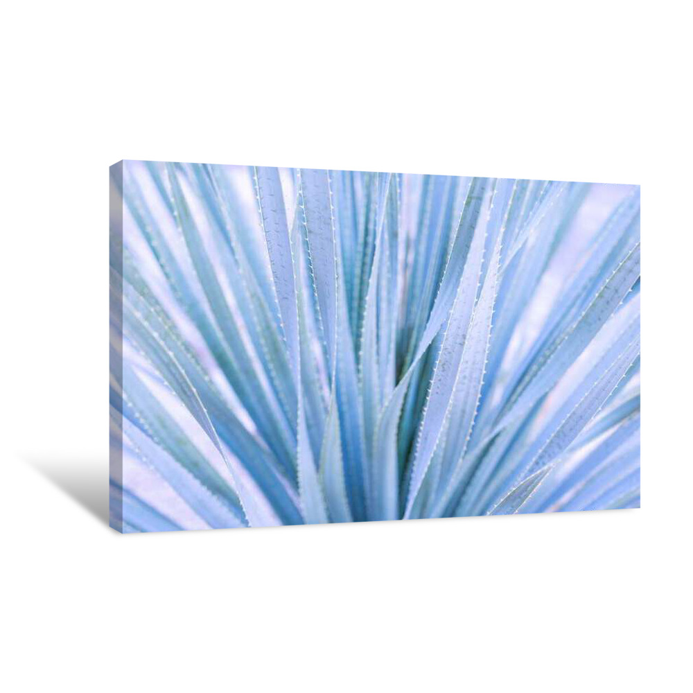 Layered Blue Canvas Wrap