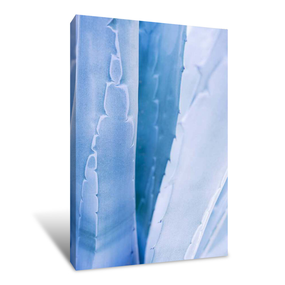 Textured Blue Canvas Wrap