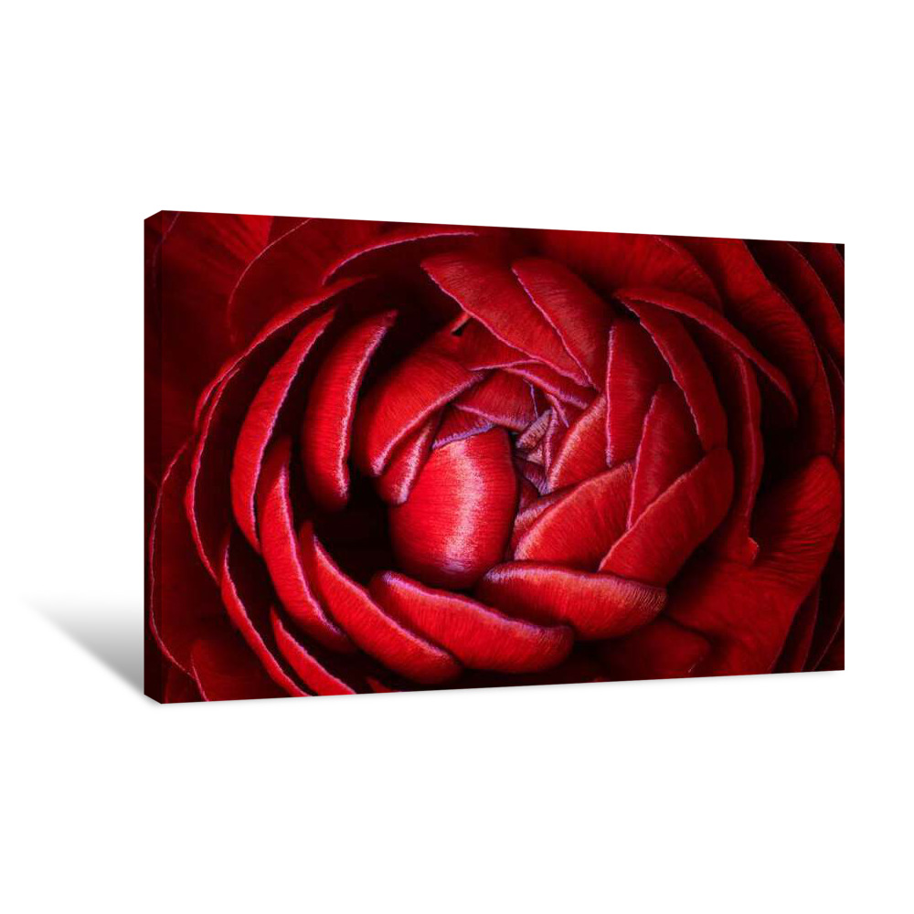 Twisted Maroon Canvas Wrap