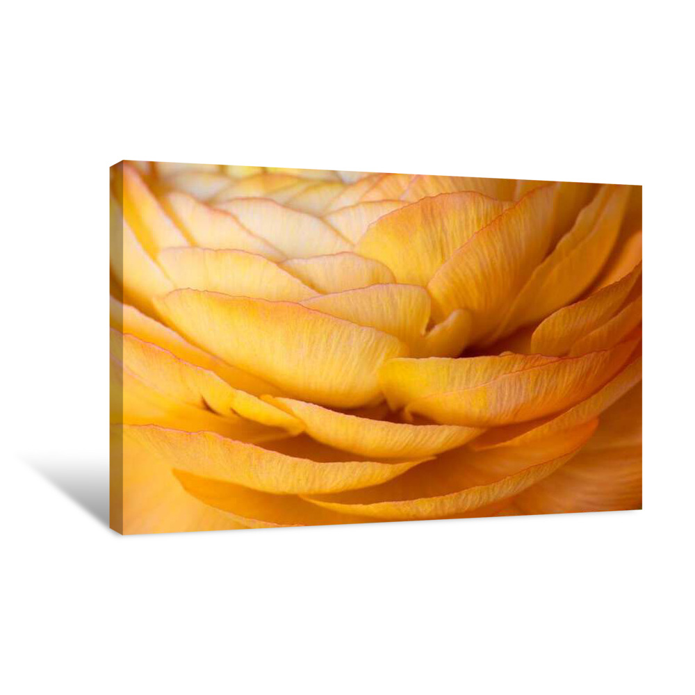 Layered Gold Canvas Wrap