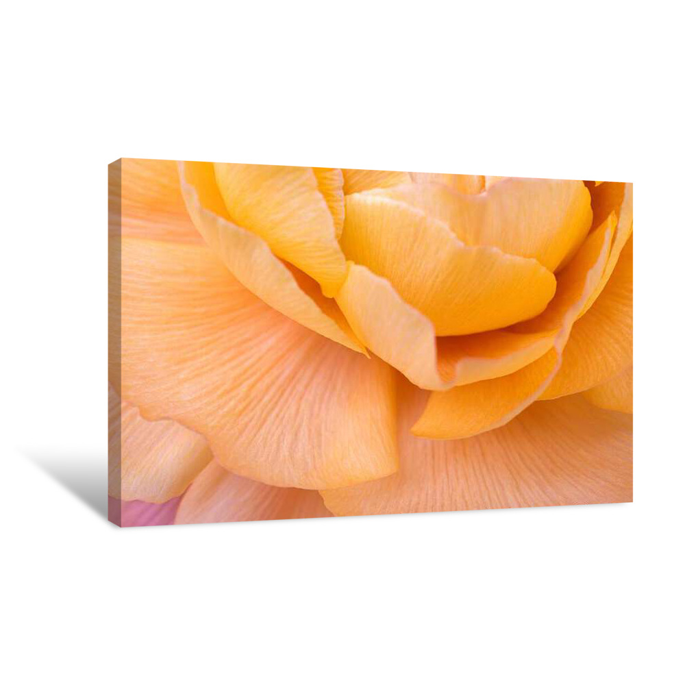 Yellow Zoom Canvas Wrap