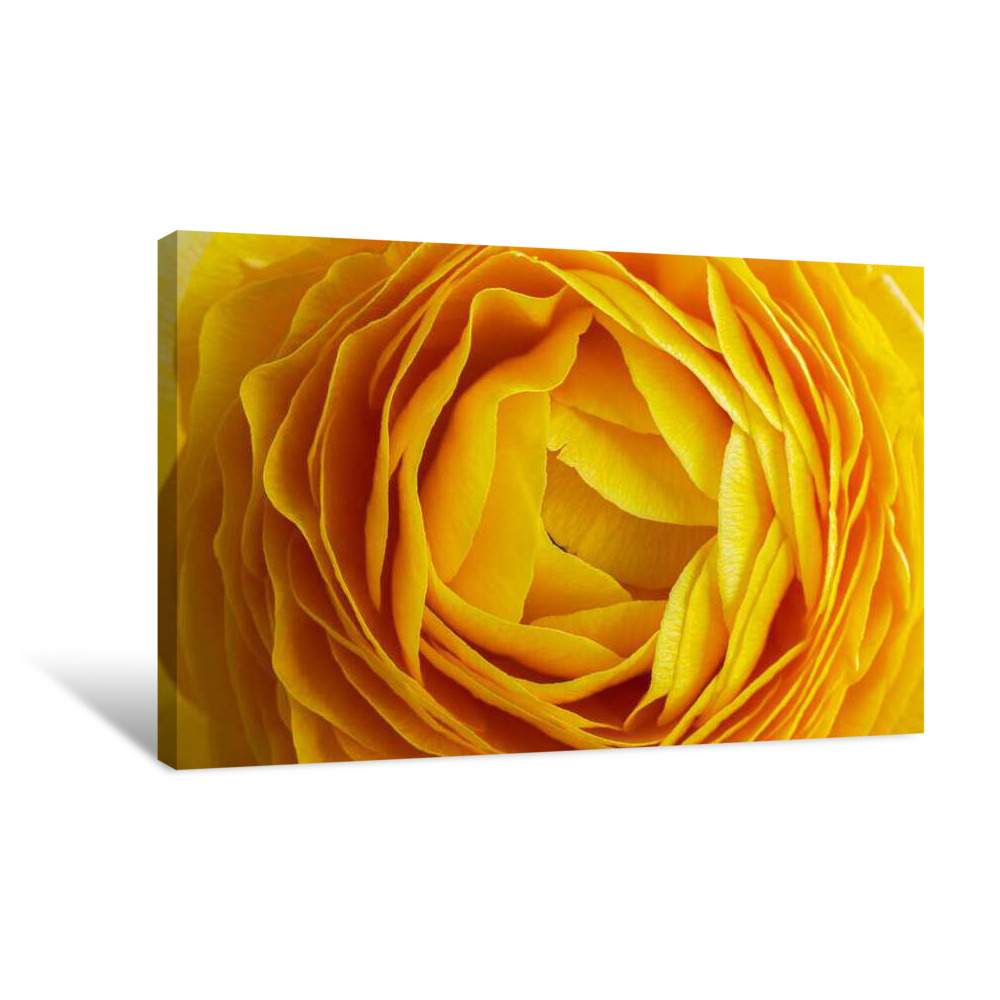Yellow Layers Canvas Wrap