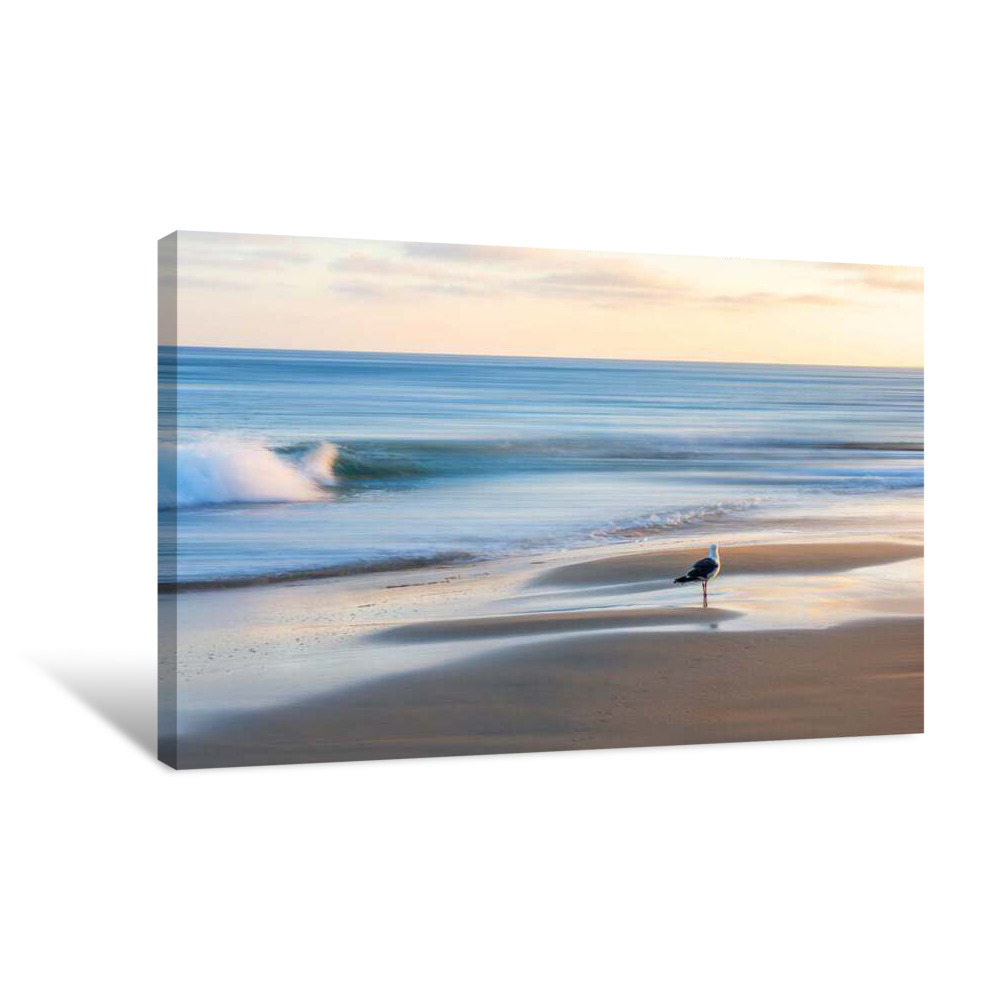 Bird on Morning Beach Canvas Wrap