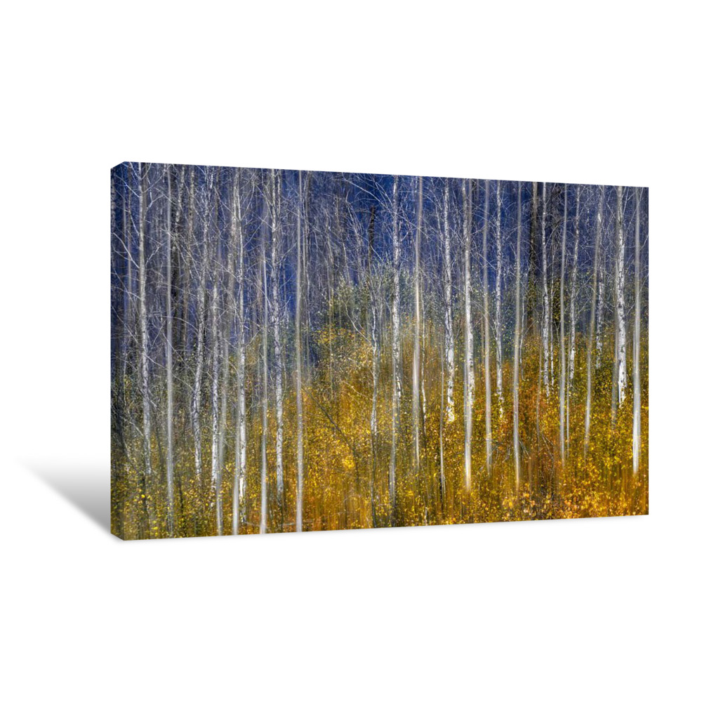 Lady Sings The Blues Canvas Wrap