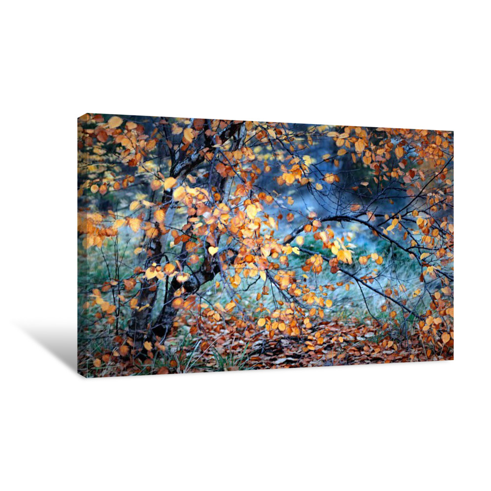 Yellow Heart Canvas Wrap