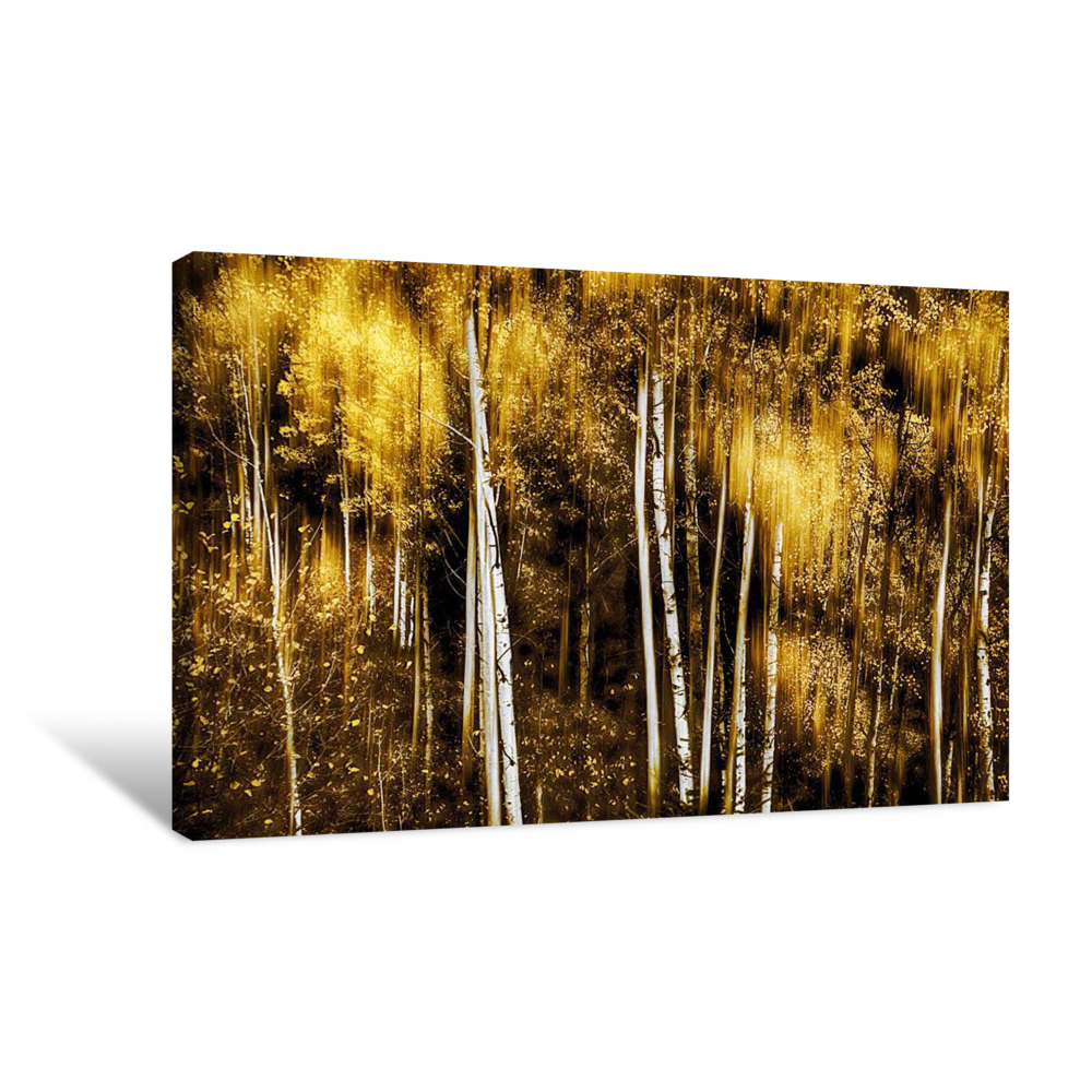 Golden Canvas Wrap