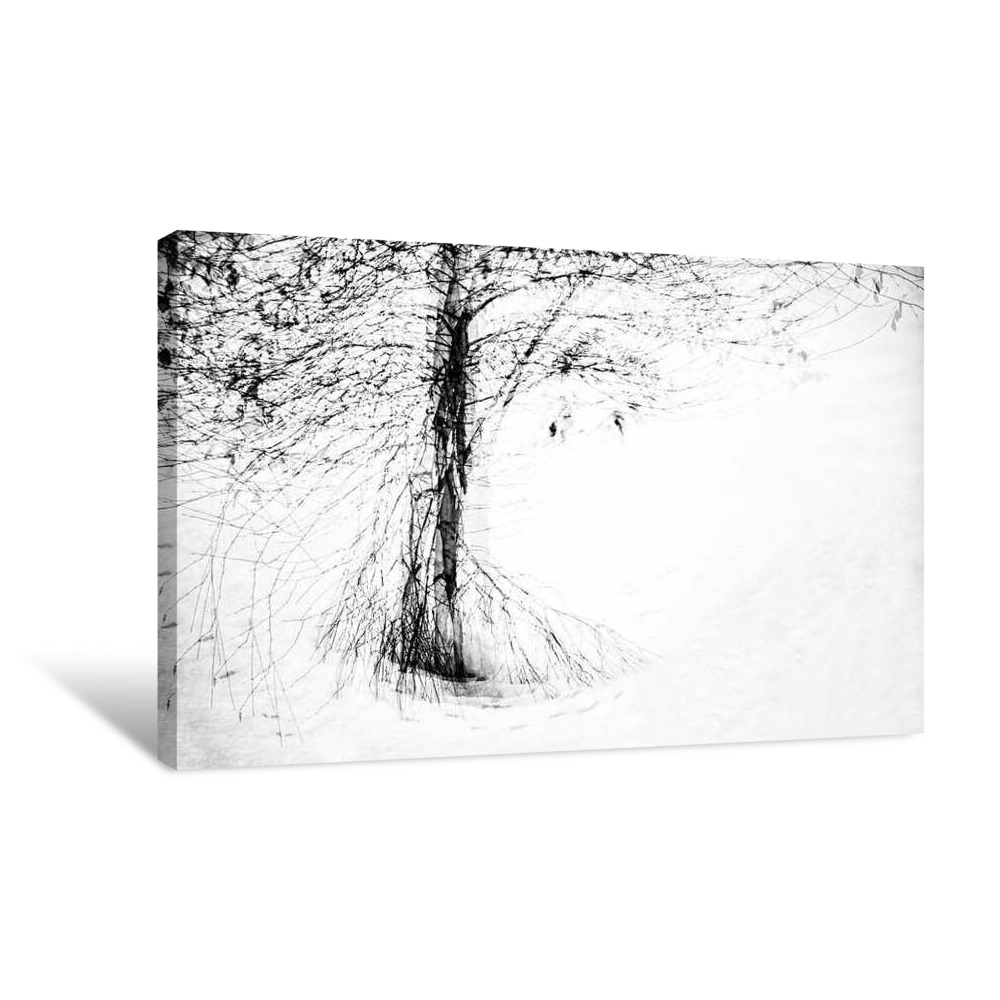 Snow Dance Canvas Wrap