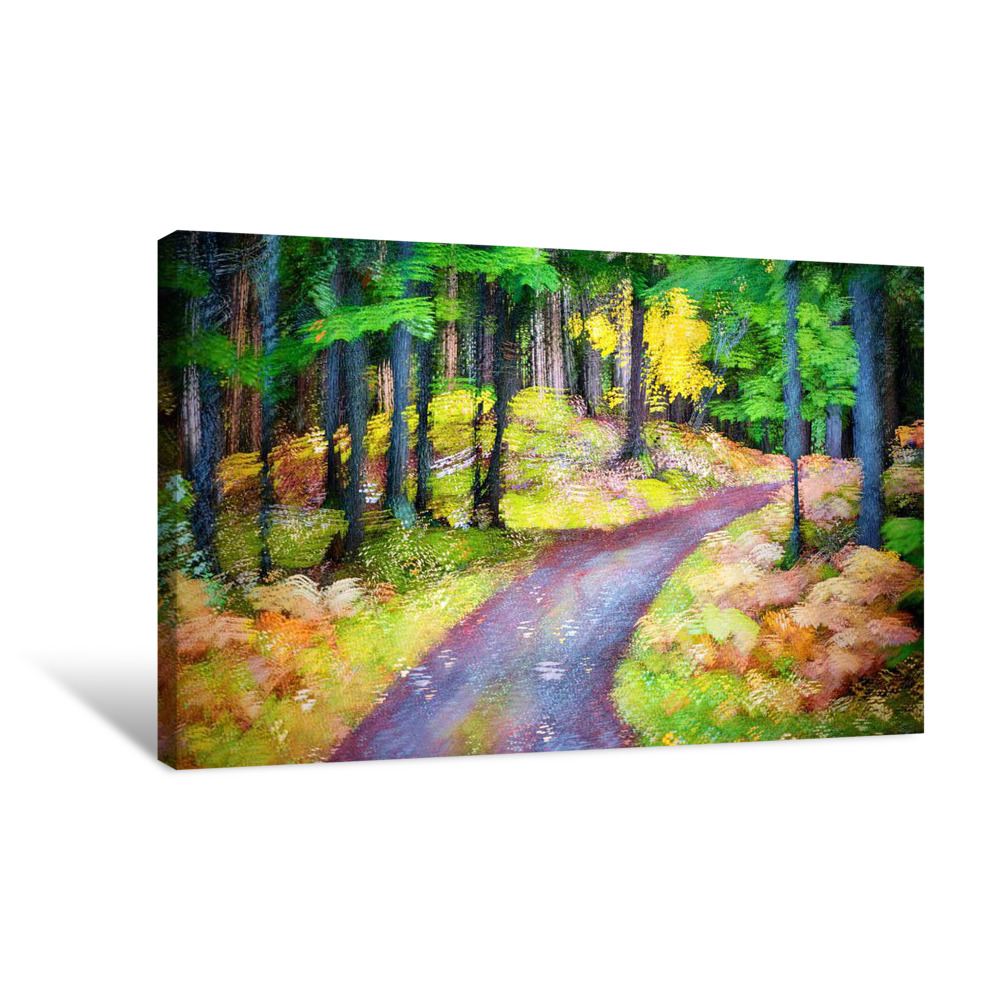 Going Home Canvas Wrap