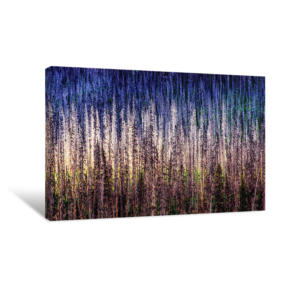 Resilience Canvas Wrap