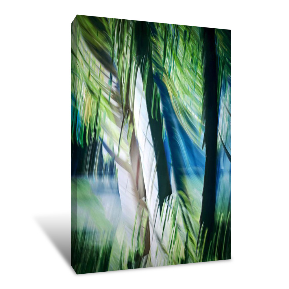 Imagine Palm Trees Canvas Wrap
