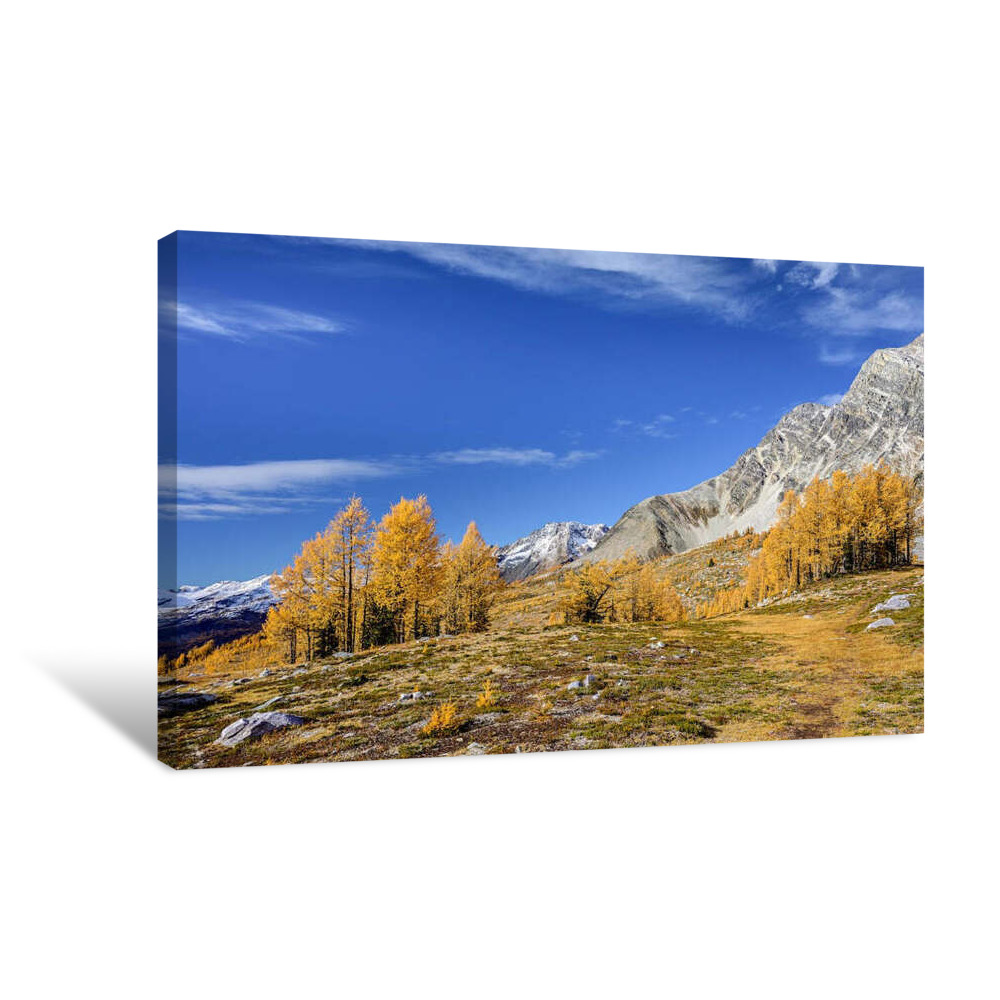 Gold in the Meadow Canvas Wrap