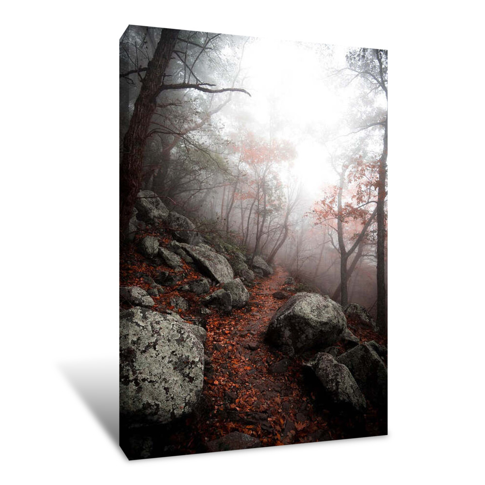 Moody Forest Canvas Wrap