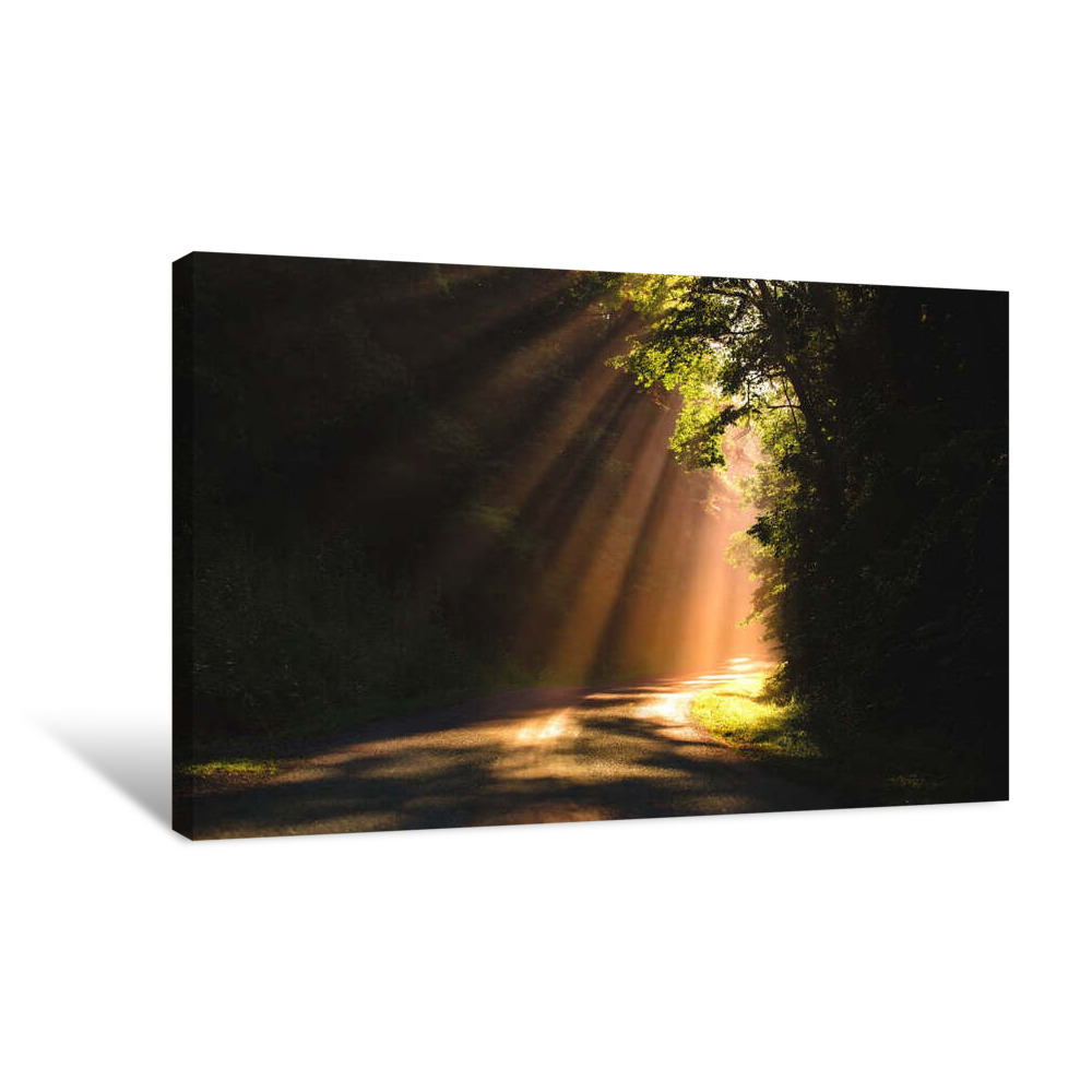 Morning Rays Canvas Wrap