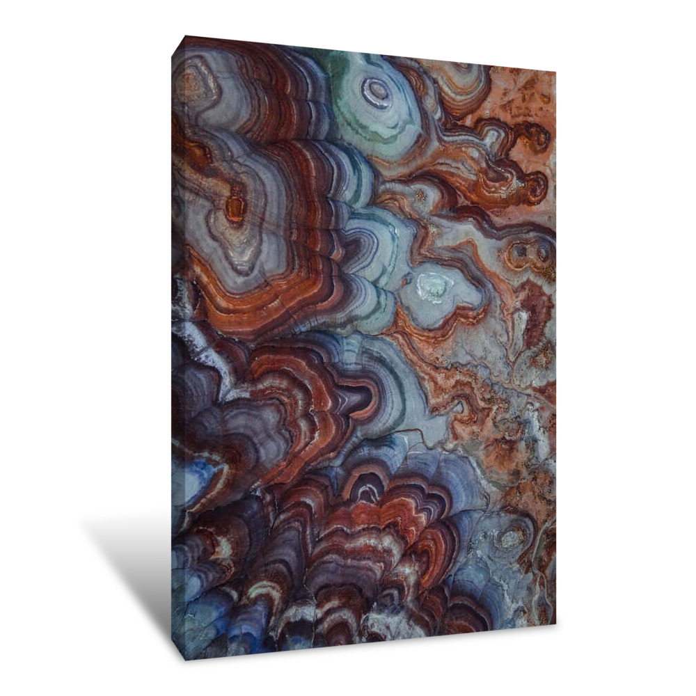 Out Of This World Canvas Wrap