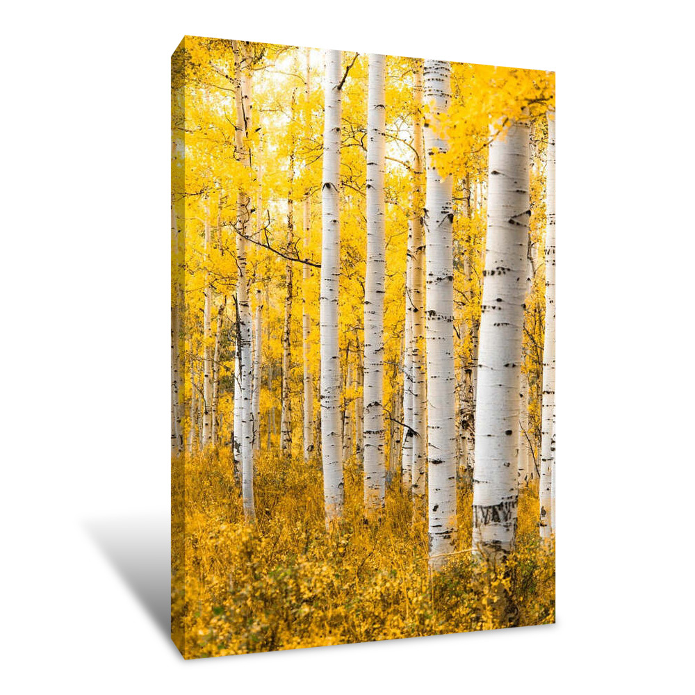 Yellow Forest Canvas Wrap