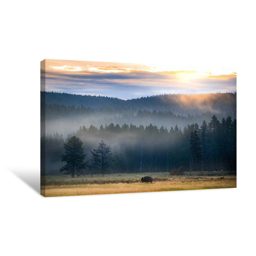 Yellowstone at Dawn Canvas Wrap